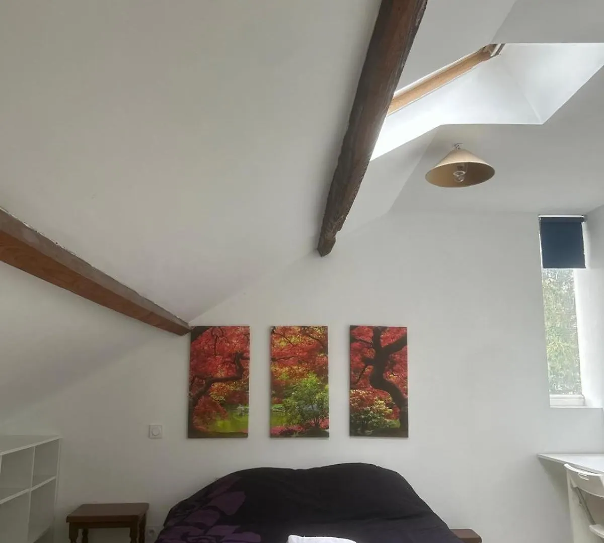 Tal'S Duplax Apartment Villeurbanne France