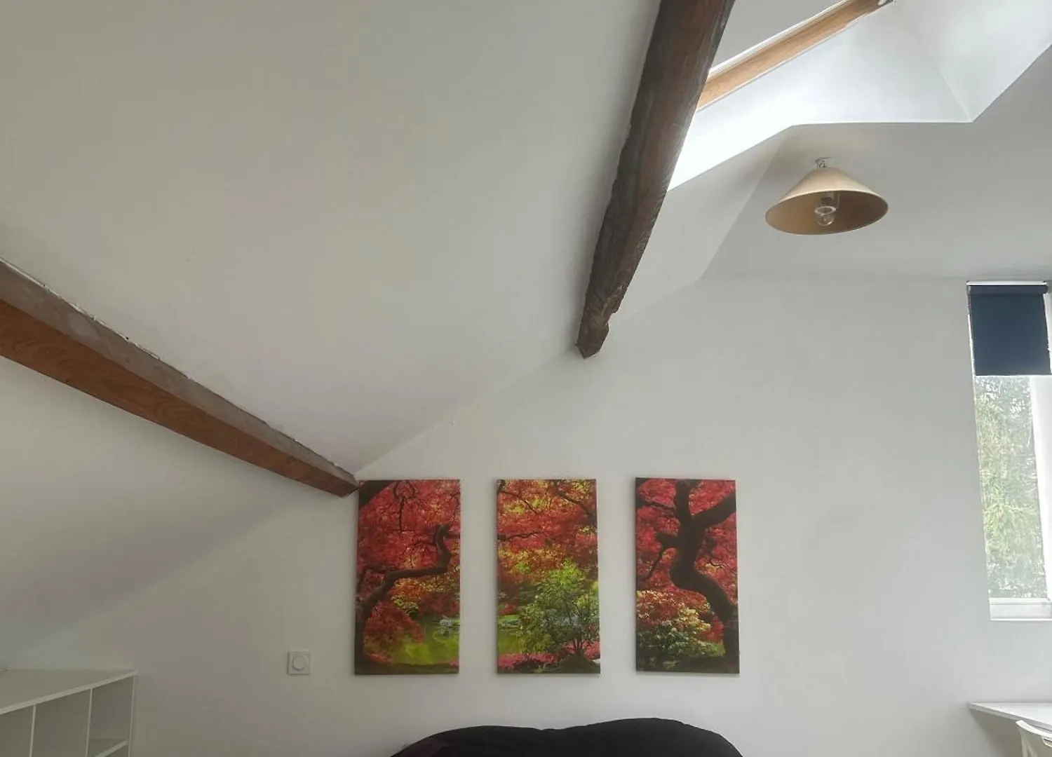 Tal'S Duplax Apartment Villeurbanne